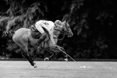 PP_2025-0399-sfx-web