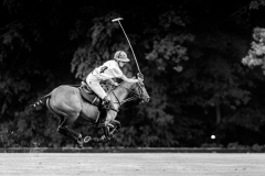 PP_2025-0545-sfx-web